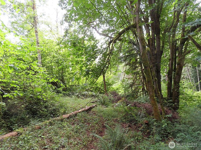 2nd image of 0 Lot 11 Valley View Drive