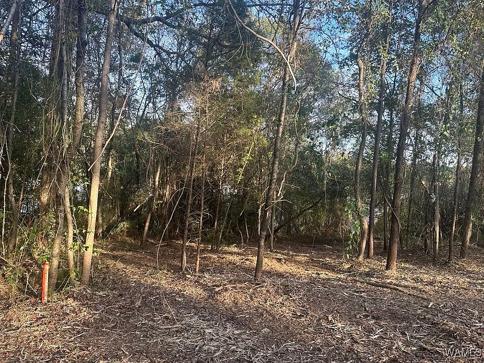 2nd image of LOT 64 Blue Pine Cir