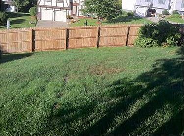 4th image of 324 Gloucester Dr
