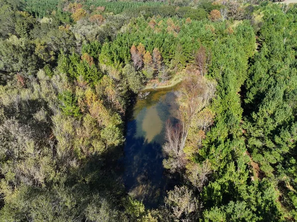 1001 Mount Carmel Rd, Dierks, AR 71833