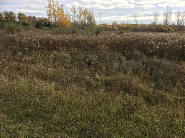 17 Single Tree Cir, Dryden, MI 48428