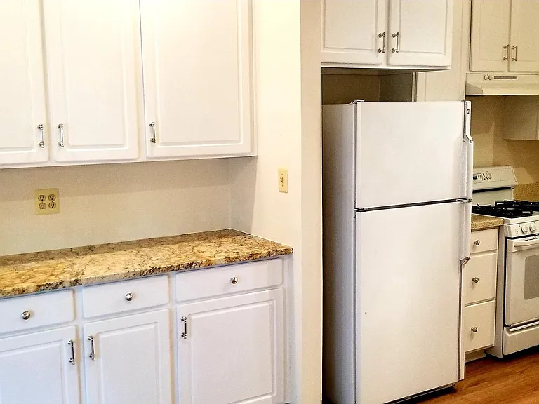 464 Winding Rose Dr — Photo 19