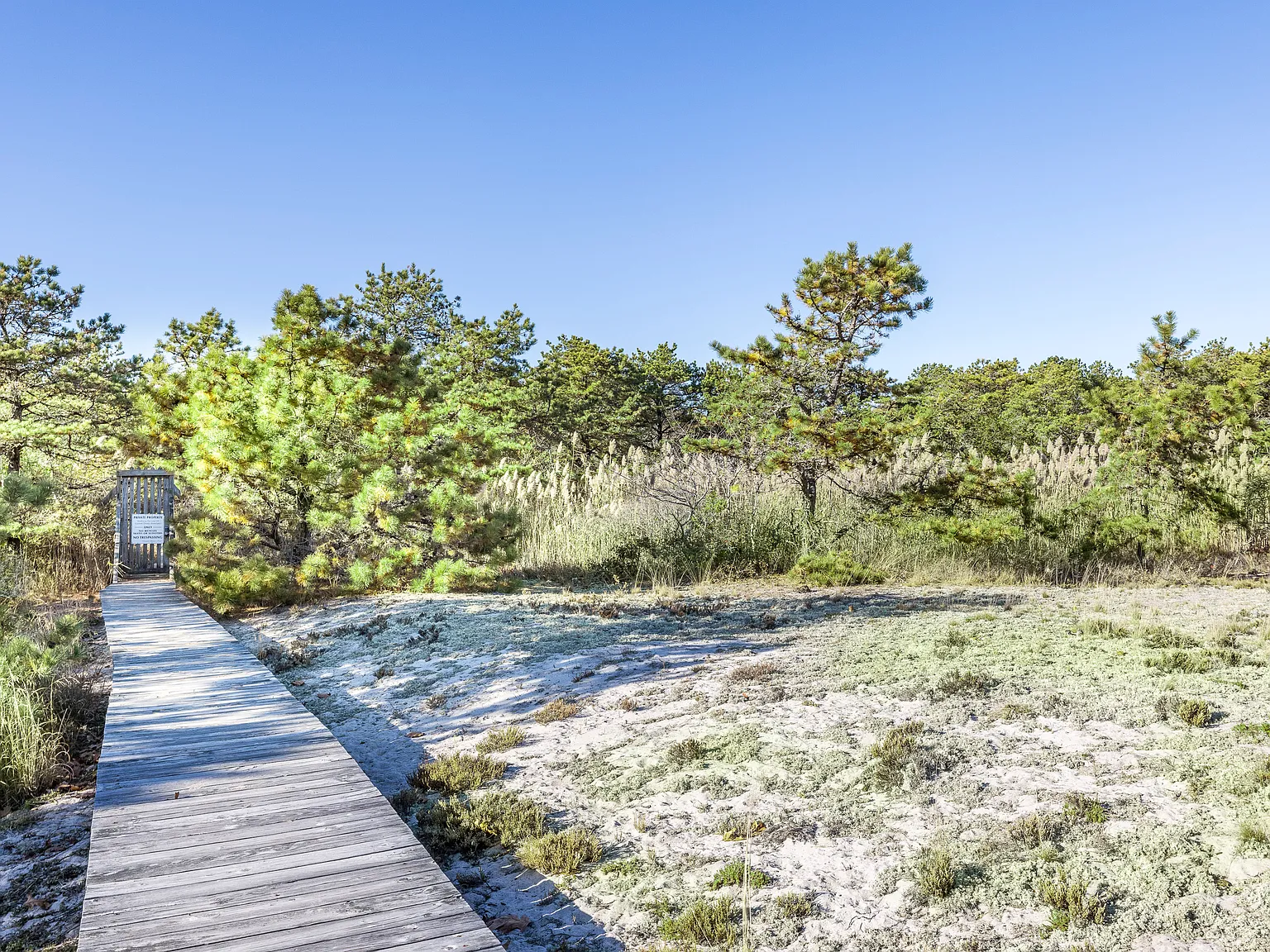 Ocean Breezes on Seabreeze Lane — Photo 4