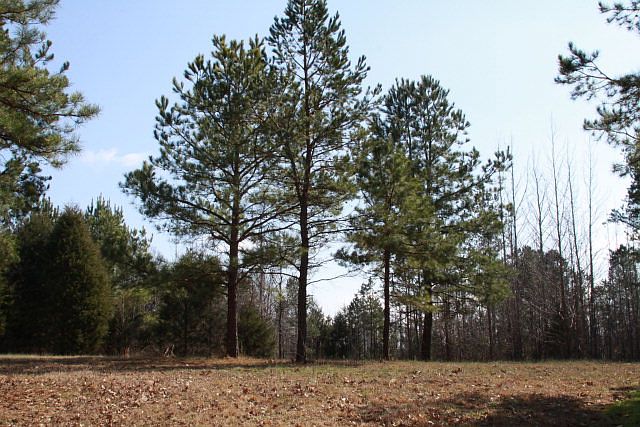 2nd image of 515 Highway 331
