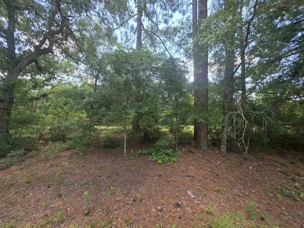 TBD Highway 701 South Lot 13-B, Conway, SC 29527