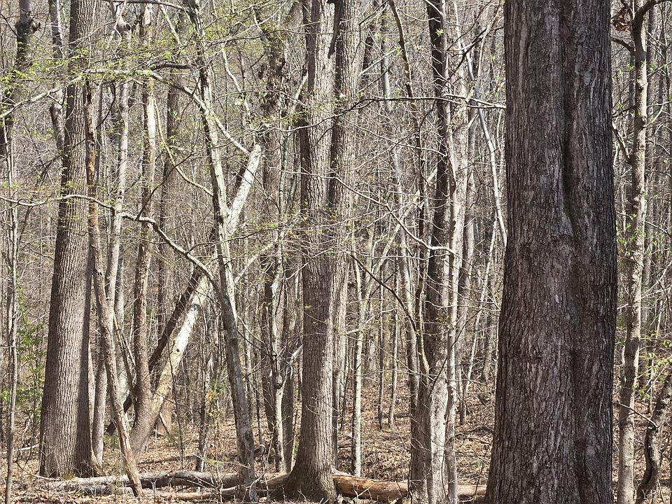 1st image of 0 Equestrian Trail Rd Lot 3