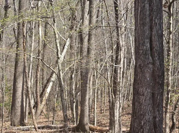 0 Equestrian Trail Rd Lot 3, New Canton, VA 23123