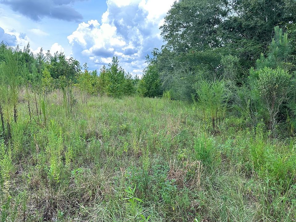 4.6 Old Elba Rd, Coffee Springs, AL 36318 Zillow