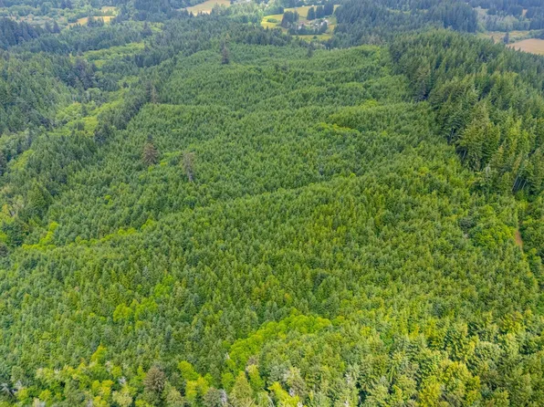 0 United States Forest Service Rd #5591, Yachats, OR 97498