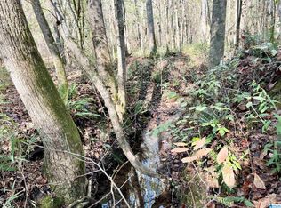 0 County Road 700 #A, Roanoke, AL 36274