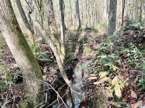 0 County Road 700 #A, Roanoke, AL 36274