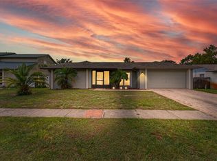 3903 Dunaire Dr, Valrico, FL 33596