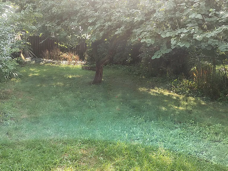 1062 Broadway Ave NW — Photo 6