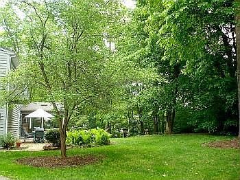 5th image of 5N130 Middlecreek Ln