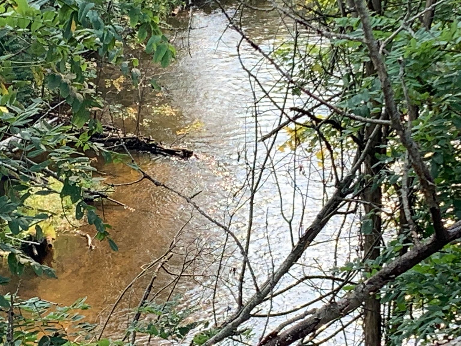 5532 S White River Trl, Hesperia, MI 49421 Zillow