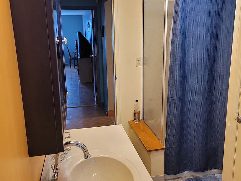 3044 W Addison St #2-B — Photo 13