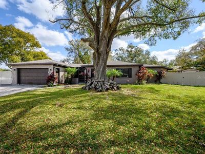 601 Southwood Cv, Brandon, FL, 33511