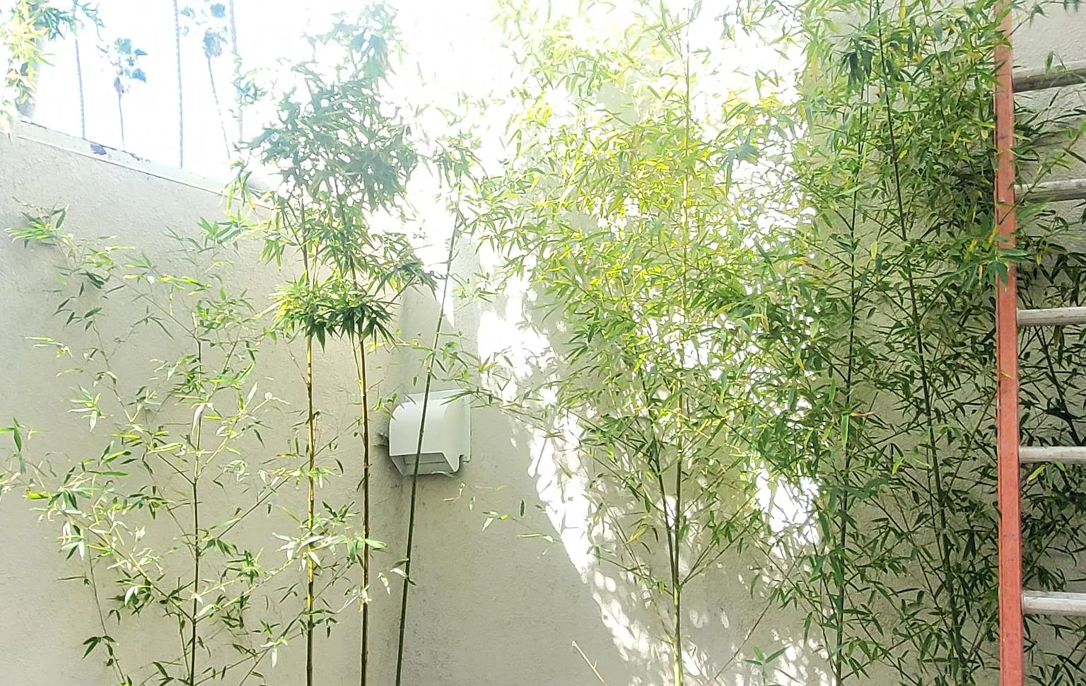 670 San Juan Ave — Photo 2