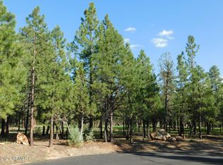 1275 Sunrise Pl #10, Happy Jack, AZ 86024