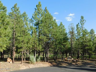 1275 Sunrise Pl #10, Happy Jack, AZ, 86024