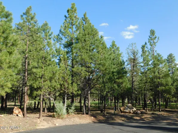 1275 Sunrise Place #10, Happy Jack, AZ 86024