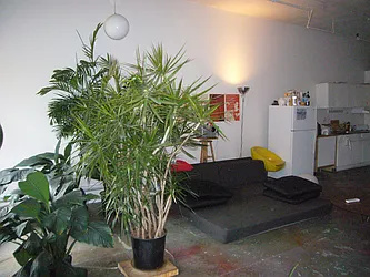 Rented by Weichert Properties - NYC