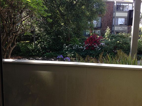 Garden view from patio on ground floor