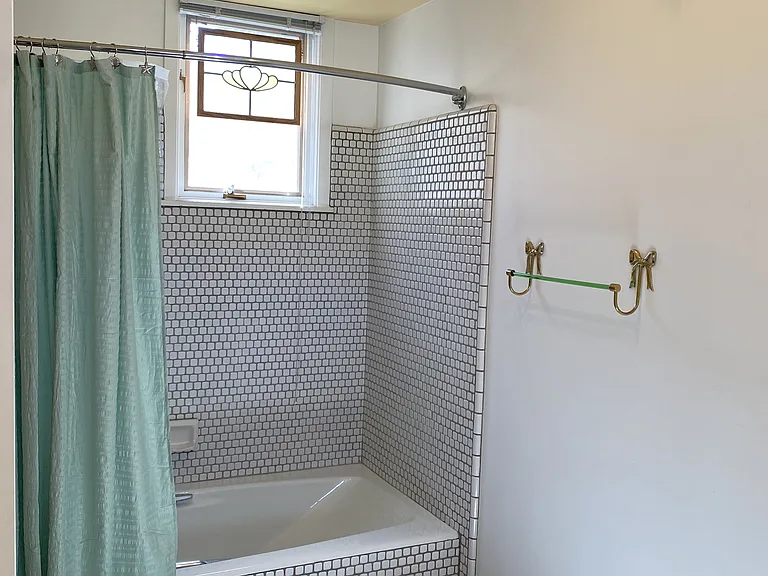 Master Bath Shower o/Tub & Green DG Ceiling Light Fixture & Towelbar