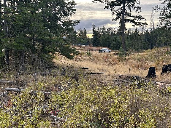 5th image of Snag Rd
