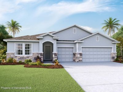 11291 Curio Dr, Brooksville, FL, 34613