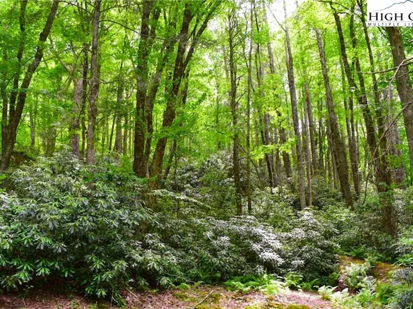 Lot 3 Kona Lane, Boone, NC 28607