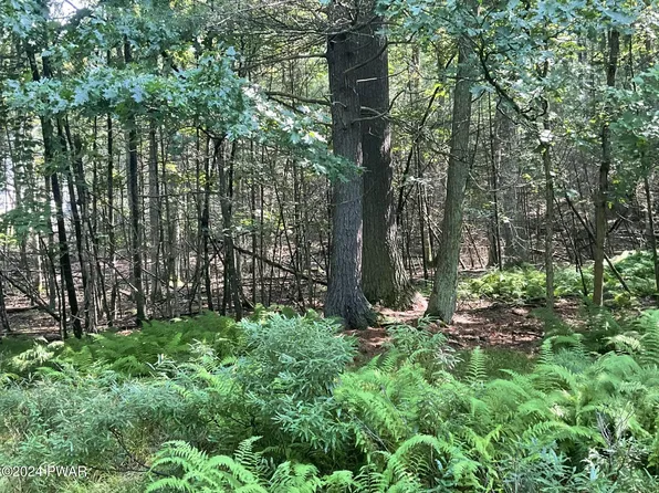 Creek Rd, Hawley, PA 18428
