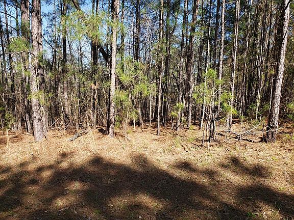 3rd image of L44 B16 Madison Drive