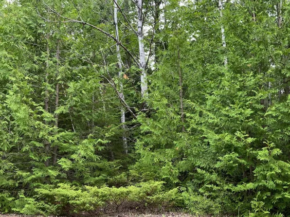 LOT 266 Kauffman Rd, Presque Isle, MI 49777
