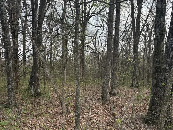 Lots 166 And 167 Huckleberry Cir #166, Rogers, AR 72756