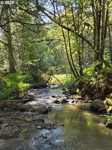 0 State Highway 138 W, Oakland, OR, 97462