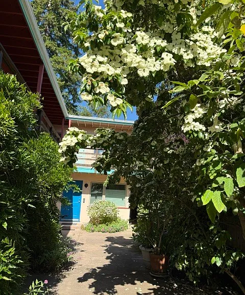1627 Grant St #D — Photo 16