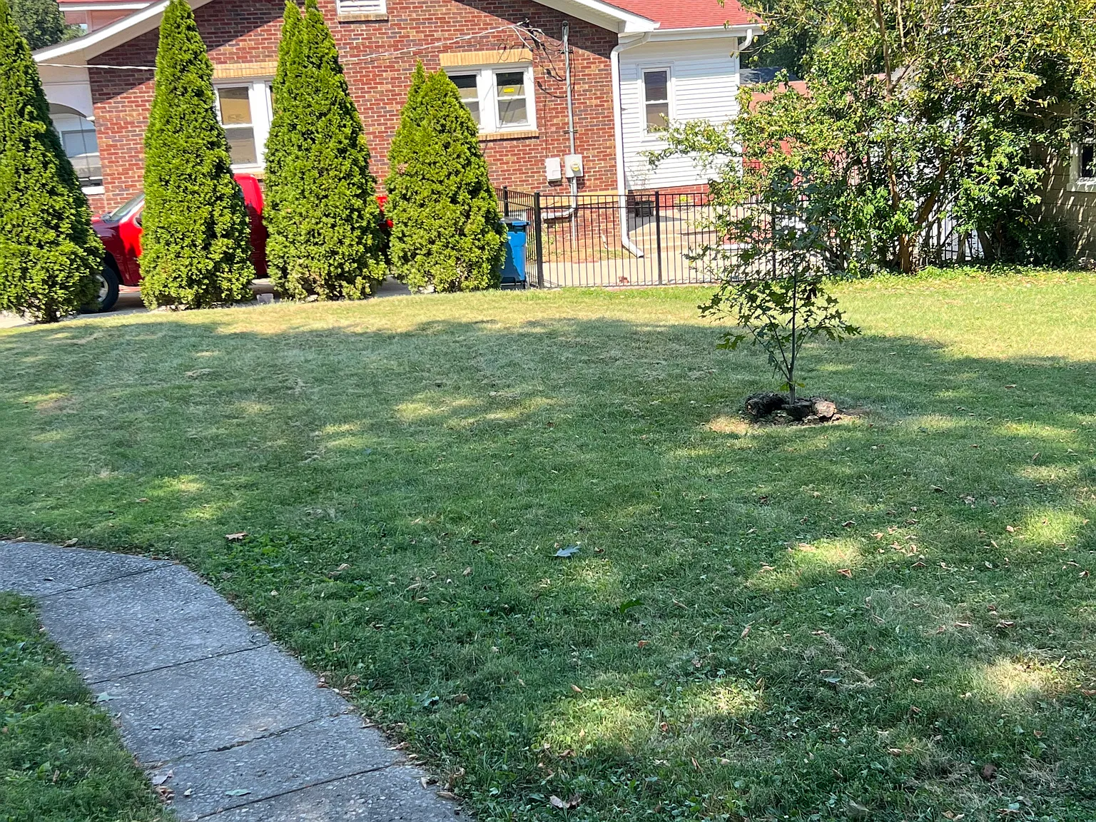 1 bed, 704 sqft, $750 — Photo 3