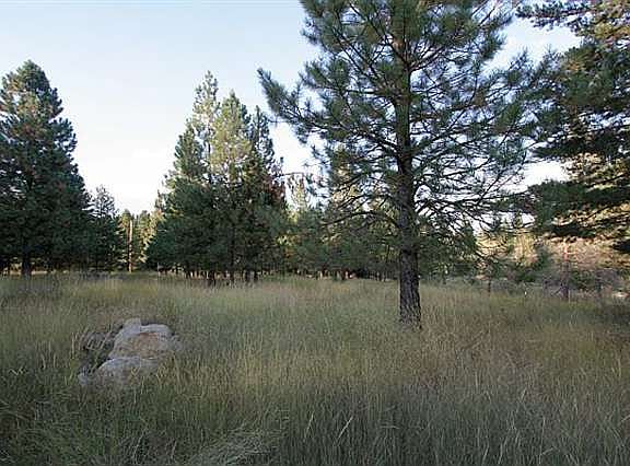 2nd image of 1 Castle Meadow Dr
