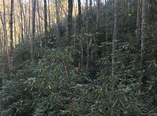 604 Upper Sawyers Crk, Robbinsville, NC 28771