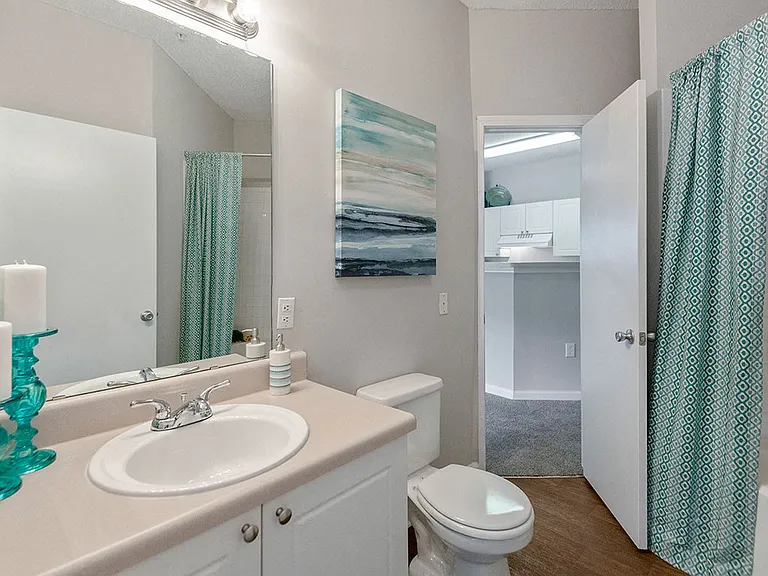 Classic Bathroom in One Bedroom