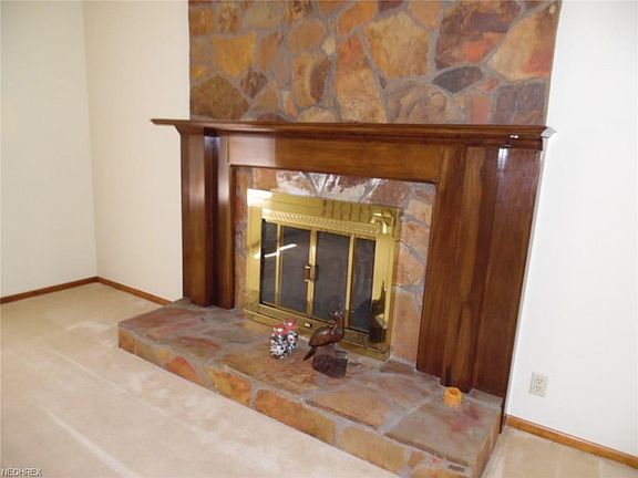Wood Burning Fireplace in Living Room