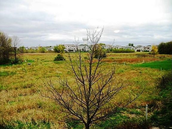 The beautiful and plush backyard overlooks wetlands.