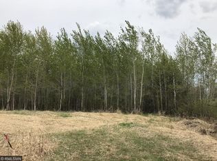 W Mud Lake Rd, Wright, MN 55798
