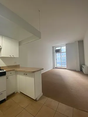 Rented by Voro NYC | media 18