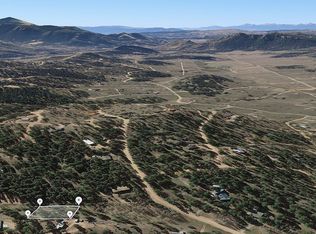 55 Antelope Cir, Florissant, CO 80816