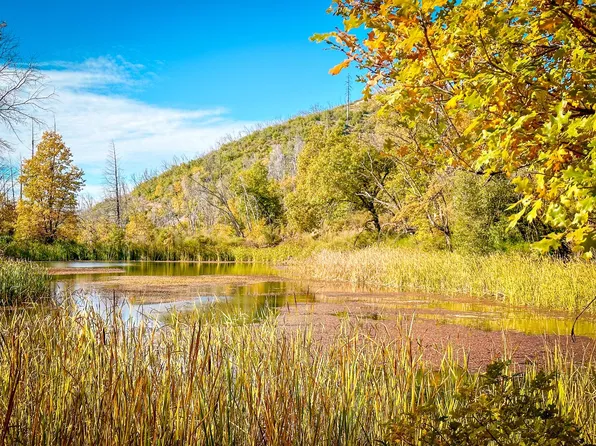 Avenue A, Mountain Ranch, CA 95246