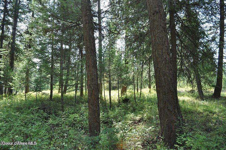 1st image of 39 Forest Ridge Rd