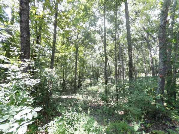 0 E Long Hollow Rd #1, Rock Spring, GA 30739