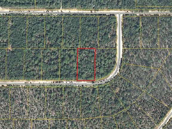 2nd image of LOT 10 Odum St